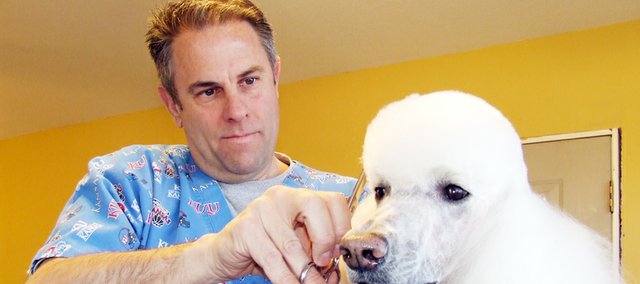 Dan Hoover cuts the hair of a standard poodle in his grooming shop on his farm in Eudora. Hoover also does dog grooming at The Bonner Springs Animal Care Center a couple days of the week. Hoover attended the New York School of Dog Grooming and has been involved with national dog shows for more than a decade.