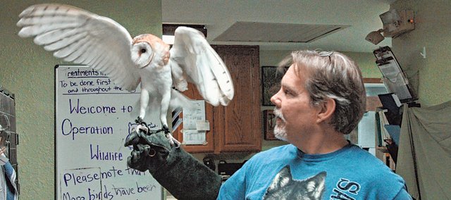 Gizmo, left, is pictured with longtime Operation WildLife Inc. volunteer Gary Crain. The barn owl was brought to OWL with a broken wing last year. The animal rehabilitation clinic is facing financial troubles after food prices went up as a result of the summer drought and a national mouse and rat shortage.