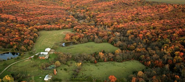 The Douglas County Commission approved $72,000 grant for conservation easement to project the Baldwin Woods. The woods is said to be "one of the best examples of original oak-hickory forest in northeast Kansas. It was among the Heritage Grants totaling $275,250 commissioners approved Wednesday on a 2-1 vote.