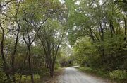 Two roads don't diverge in this yellowing wood northeast of Eudora,
but the cool, shady grove presents a calm fall scene.