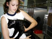 Samantha Moreland, a Lansing Middle School eighth-grader and member of Girl Scout Troop 739, helps a cat out of its cage Thursday at the Leavenworth Animal Control Shelter.