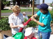 Master Gardeners JoAnn Ferrar, left, and Candy Dials make a "knee-high" planter out of a newspaper bag and pantyhose at the Enabling Garden, which is at the Leaven-worth County Extension Office, 500 Eisenhower Road.