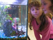 Emma Bresser, right, and Ivana Lopez watch the seven fish that make their home in an aquarium near the front office at Lansing Elementary School.