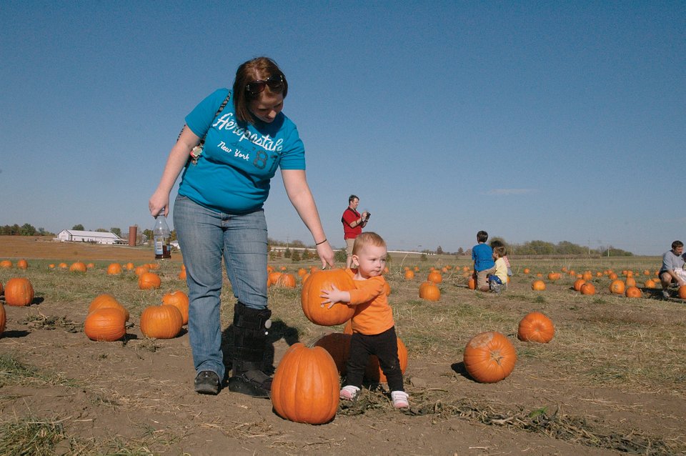 Lawrence Pumpkin Patch Ks