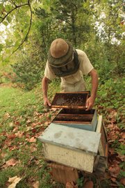 Richard Bean inspects trays of honeycomb in one of the hives he keeps at his Blossom Trail Bee Ranch near Baldwin City.