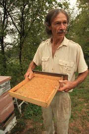 Richard Bean displays a tray of bee pollen collected from one of the hives at his Blossom Trail Bee Ranch near Baldwin City.