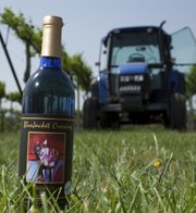 Eudora's BlueJacket Crossing Vineyard and Winery is among Kansas wineries expected to be pouring at the Winesong at Riverfest wine tasting event in De Soto. BlueJacket Crossing 's 2009 vintage of the Off-Dry Vignoles was a gold medal winner at the Finger Lake's International Wine Competition.