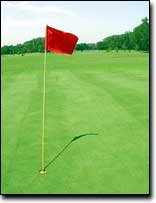 The 18th hole at Riverview Golf Course in Eudora features a putting
surface that is the best on the course. Owner Jim Bigger has worked
hard to improve his links. Improvement has come slowly, but the
course is better than it used to be.